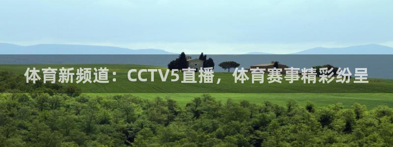 体育新频道：CCTV5直播，体育赛事精彩纷呈