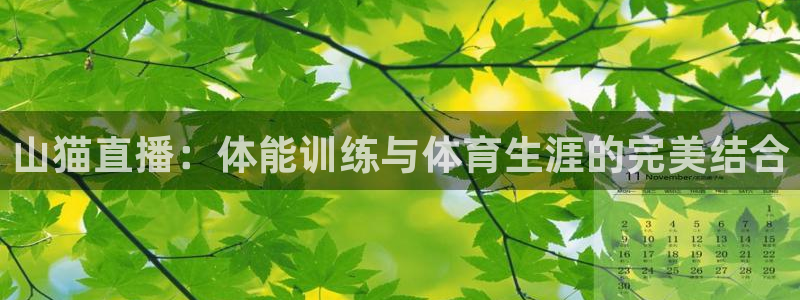 山猫直播：体能训练与体育生涯的完美结合