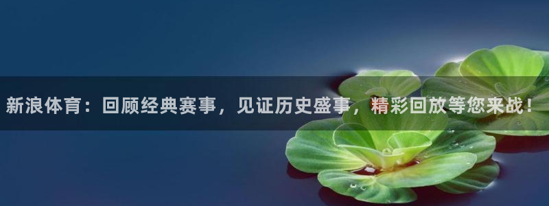 新浪体育：回顾经典赛事，见证历史盛事，精彩回放等您来战！