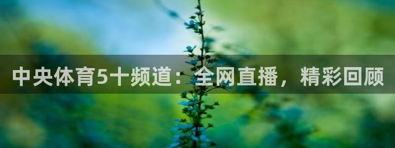 中央体育5十频道：全网直播，精彩回顾