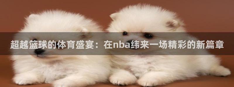超越篮球的体育盛宴：在nba纬来一场精彩的新篇章