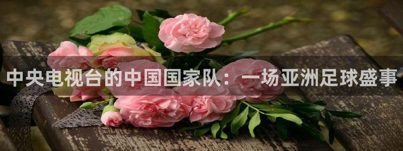 中央电视台的中国国家队：一场亚洲足球盛事