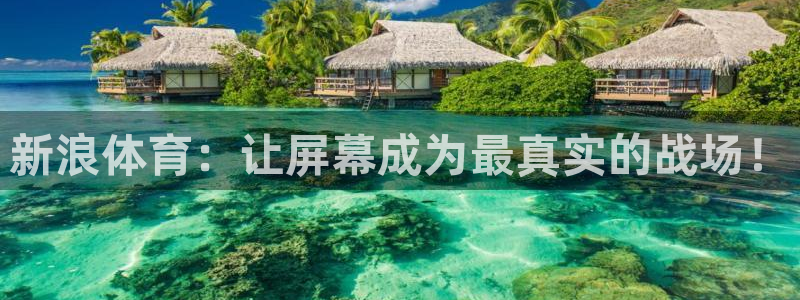 新浪体育：让屏幕成为最真实的战场！