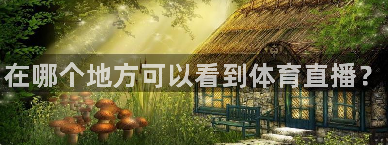在哪个地方可以看到体育直播？