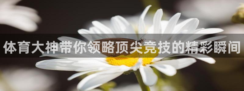体育大神带你领略顶尖竞技的精彩瞬间