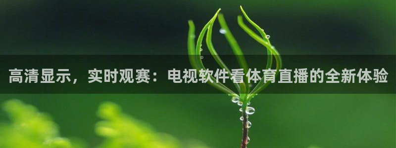 高清显示，实时观赛：电视软件看体育直播的全新体验