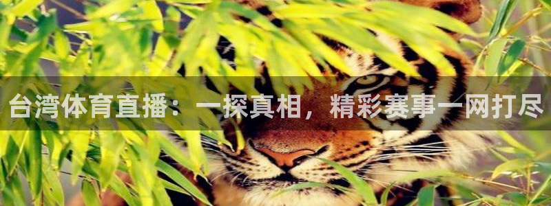台湾体育直播：一探真相，精彩赛事一网打尽